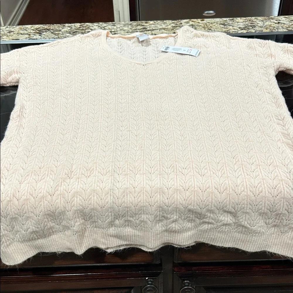 Chico's Light Tan V-Neck Sweater - Picture 4 of 4